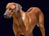 processed/d693c3d6-2306-4db6-a975-1731ff69c694/facility/2cc0fb8f-9f42-4128-9686-19d024402ac5