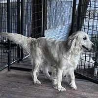 processed/d695f539-6e44-4673-9f30-a2036499fd02/facility/61e88042-088d-4044-bb60-fa5ac6d38172