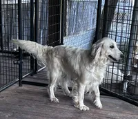 processed/d695f539-6e44-4673-9f30-a2036499fd02/facility/61e88042-088d-4044-bb60-fa5ac6d38172