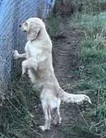 processed/d695f539-6e44-4673-9f30-a2036499fd02/listing/019296bc-e303-487d-9169-8a5765f29327/ff0d0c71-e6e1-47ac-9ddf-994ca21e60a8