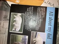 European champion  male, a male Golden Retriever and English Cream Golden Retriever for sale in Lakewood, WI – 3 of 3