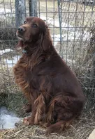 processed/d695f539-6e44-4673-9f30-a2036499fd02/listing/4e4abfe0-7628-4fff-a32c-7b71ada9e6cc/7422bc8b-d768-4027-af13-e570cceb3f5d