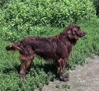 processed/d695f539-6e44-4673-9f30-a2036499fd02/listing/4e4abfe0-7628-4fff-a32c-7b71ada9e6cc/96b28f9f-722c-45d8-ad52-1488a68e0a9d