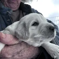 processed/d695f539-6e44-4673-9f30-a2036499fd02/listing/51c15ac8-96ed-48b1-955c-ffba96171383/071fb74a-957d-4a58-946a-ebf2162fecf0