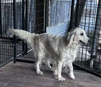 processed/d695f539-6e44-4673-9f30-a2036499fd02/listing/51c15ac8-96ed-48b1-955c-ffba96171383/3af28680-3a27-448b-ae62-dcc71fcc5206