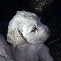 processed/d695f539-6e44-4673-9f30-a2036499fd02/listing/51c15ac8-96ed-48b1-955c-ffba96171383/6f680879-a461-4f93-a3b8-798e901114f7