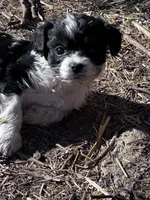 processed/d695f539-6e44-4673-9f30-a2036499fd02/listing/55b4176b-740a-4427-8a56-c4936131f564/3c4aa274-a18f-4baa-bb84-9c505effc361