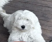 processed/d695f539-6e44-4673-9f30-a2036499fd02/listing/6640973e-af15-470e-9ad6-1a4a3f2ac76a/71e4b203-cf03-4ba5-8c56-f51760eb9899