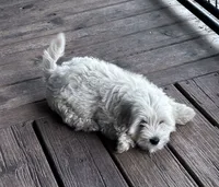 processed/d695f539-6e44-4673-9f30-a2036499fd02/listing/6640973e-af15-470e-9ad6-1a4a3f2ac76a/79bd928c-8808-46e3-aa10-6f7cefe70f43