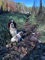 processed/d695f539-6e44-4673-9f30-a2036499fd02/listing/ada0f2dc-4a95-45c5-be0c-58164750f033/11205835-76d3-49b6-b933-db50e6b345be