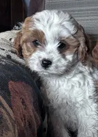 processed/d695f539-6e44-4673-9f30-a2036499fd02/listing/ada0f2dc-4a95-45c5-be0c-58164750f033/3d77e666-b50c-4981-bf25-5713b02168cf