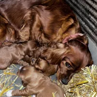 processed/d695f539-6e44-4673-9f30-a2036499fd02/listing/b029201e-fb8f-46df-9f61-6ae344c7c890/fa86c5b9-898b-433a-a52b-738afb7038d5