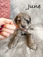 processed/d696dbaa-858a-4fae-89de-3b0b198fb83a/listing/05175437-533e-4824-a2b6-101490d0d2b4/efaa7508-3823-4944-af07-2d1699408746