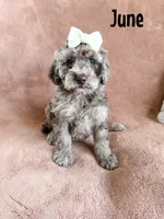 processed/d696dbaa-858a-4fae-89de-3b0b198fb83a/listing/05175437-533e-4824-a2b6-101490d0d2b4/f5ddc439-e4ec-408c-bfd8-c15909bb8473