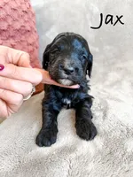 processed/d696dbaa-858a-4fae-89de-3b0b198fb83a/listing/6a73b161-03b6-4077-a24d-cc2ec67b723d/30f6f181-9b5d-4d44-891f-45103f2eae68