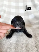 processed/d696dbaa-858a-4fae-89de-3b0b198fb83a/listing/6a73b161-03b6-4077-a24d-cc2ec67b723d/310012ba-7edb-48ba-84fb-242d1df69f1a