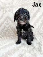 processed/d696dbaa-858a-4fae-89de-3b0b198fb83a/listing/6a73b161-03b6-4077-a24d-cc2ec67b723d/87897acf-9b18-4df5-bb41-9b553682a929