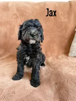 processed/d696dbaa-858a-4fae-89de-3b0b198fb83a/listing/6a73b161-03b6-4077-a24d-cc2ec67b723d/ea821f3f-45d1-4944-825c-8a15427f6d28