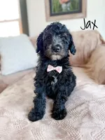 processed/d696dbaa-858a-4fae-89de-3b0b198fb83a/listing/6a73b161-03b6-4077-a24d-cc2ec67b723d/f7dca24c-49b9-4f04-b578-48e865d9f166