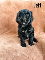 processed/d696dbaa-858a-4fae-89de-3b0b198fb83a/listing/80c38fee-e244-4d68-a113-e9bdc97d3714/0fc94cf8-6777-423b-8c0d-ea7053aea145