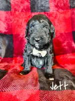 processed/d696dbaa-858a-4fae-89de-3b0b198fb83a/listing/80c38fee-e244-4d68-a113-e9bdc97d3714/20b66067-6f9a-4228-87d0-cf7cae13ff5d