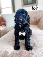 processed/d696dbaa-858a-4fae-89de-3b0b198fb83a/listing/80c38fee-e244-4d68-a113-e9bdc97d3714/a7ab4f73-1ac6-4a87-aab3-2692267c0a04