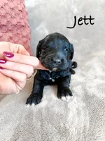 processed/d696dbaa-858a-4fae-89de-3b0b198fb83a/listing/80c38fee-e244-4d68-a113-e9bdc97d3714/f8a8f11d-bae8-4793-8de1-da6f627e638f