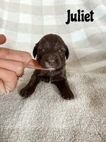 processed/d696dbaa-858a-4fae-89de-3b0b198fb83a/listing/8d6c4a73-bf66-4b15-941f-00a97f5d12fe/14fcc29a-709a-40fb-8073-0614746406b5