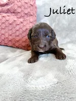 processed/d696dbaa-858a-4fae-89de-3b0b198fb83a/listing/8d6c4a73-bf66-4b15-941f-00a97f5d12fe/3f9291e5-e8fd-4b5b-8683-0cc5211c4b7e