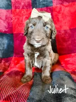 processed/d696dbaa-858a-4fae-89de-3b0b198fb83a/listing/8d6c4a73-bf66-4b15-941f-00a97f5d12fe/608d1bd4-550c-437c-ad11-f9baf5cdbc05