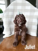 processed/d696dbaa-858a-4fae-89de-3b0b198fb83a/listing/8d6c4a73-bf66-4b15-941f-00a97f5d12fe/70651084-7721-4473-9953-3f7c8d71320b