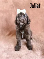 processed/d696dbaa-858a-4fae-89de-3b0b198fb83a/listing/8d6c4a73-bf66-4b15-941f-00a97f5d12fe/f8f92107-ee5e-4d17-9547-ff4c4c35b37a