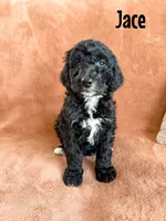 processed/d696dbaa-858a-4fae-89de-3b0b198fb83a/listing/f3ea001e-466c-4627-91d1-a01dbfd6ce24/13baff84-75a3-4742-8030-eaa46089c1b9