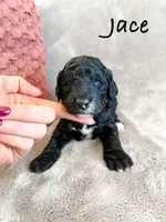 processed/d696dbaa-858a-4fae-89de-3b0b198fb83a/listing/f3ea001e-466c-4627-91d1-a01dbfd6ce24/6e40bb36-4891-4a7b-af11-7b6bc17f4d9a