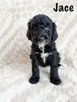 processed/d696dbaa-858a-4fae-89de-3b0b198fb83a/listing/f3ea001e-466c-4627-91d1-a01dbfd6ce24/fbd15c97-17f9-4f87-9eb9-bcc4573ba25a