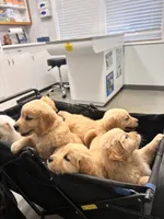 Facility photo