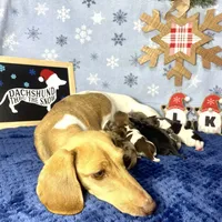 processed/d69fbc42-a368-44d3-8af7-50f12d49d295/facility/3b820697-1e02-4c11-bce8-ab0dbec120ba