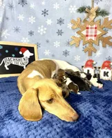 processed/d69fbc42-a368-44d3-8af7-50f12d49d295/facility/3b820697-1e02-4c11-bce8-ab0dbec120ba