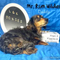 processed/d69fbc42-a368-44d3-8af7-50f12d49d295/facility/64988006-9c36-4bb1-ad7b-0ba5814b2f70