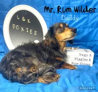 processed/d69fbc42-a368-44d3-8af7-50f12d49d295/facility/64988006-9c36-4bb1-ad7b-0ba5814b2f70