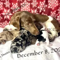 processed/d69fbc42-a368-44d3-8af7-50f12d49d295/facility/908abc60-b6ee-40c7-9905-7b6e63ad3d26