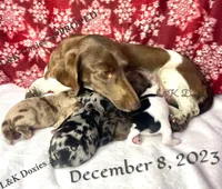 processed/d69fbc42-a368-44d3-8af7-50f12d49d295/facility/908abc60-b6ee-40c7-9905-7b6e63ad3d26