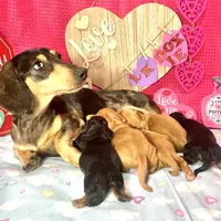 processed/d69fbc42-a368-44d3-8af7-50f12d49d295/facility/d5ade7da-309e-4a29-ae30-9d6d24902471