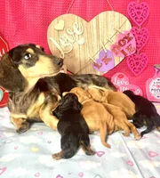 processed/d69fbc42-a368-44d3-8af7-50f12d49d295/facility/d5ade7da-309e-4a29-ae30-9d6d24902471