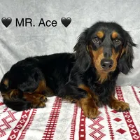 processed/d69fbc42-a368-44d3-8af7-50f12d49d295/facility/dc6032ec-79d4-40cd-8fd5-9d60c1b24246