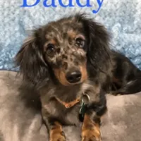 processed/d69fbc42-a368-44d3-8af7-50f12d49d295/facility/dc84f0be-c6a6-4826-a4ae-d5e8827ba443