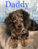 processed/d69fbc42-a368-44d3-8af7-50f12d49d295/facility/dc84f0be-c6a6-4826-a4ae-d5e8827ba443