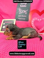 processed/d69fbc42-a368-44d3-8af7-50f12d49d295/listing/02479a36-386c-4fc3-8299-01780a37a36a/37d74472-8ba2-4603-9bc5-c3e6087e1d12