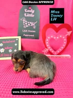 processed/d69fbc42-a368-44d3-8af7-50f12d49d295/listing/02479a36-386c-4fc3-8299-01780a37a36a/59919eda-11c9-467f-8401-fa9ca87ca648