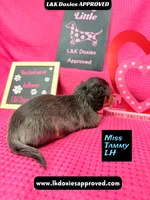 processed/d69fbc42-a368-44d3-8af7-50f12d49d295/listing/02479a36-386c-4fc3-8299-01780a37a36a/63832948-b9b9-4b85-8bdc-0ffcf4fea8d6